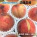  peach [. wistaria agriculture .].. with translation home use B goods 3.5kg 9~14 piece size various Fukushima prefecture Aizu {7 month middle .~7 month last third .. shipping }