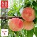  peach [. inside . male fruit tree .]..2kg 5~9 sphere goods kind incidental .. for Fukushima prefecture {7 month last third ~8 month on . from shipping }