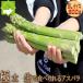  asparagus Hokkaido . good . production green 2L size 500g free shipping 