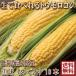  corn with translation . taste L size ( small size becomes )10 pcs insertion . Hokkaido . good . production free shipping postage separately . occurs region equipped 