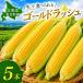  кукуруза Gold Rush 5шт.@ Hokkaido . хорошо . производство бесплатная доставка сладкий кукуруза подарок ваш заказ прямая поставка от производителя утро .. рефрижератор 7 месяц отправка 