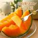  подарок на Bon Festival дыня . хорошо . дыня Hokkaido производство красный мясо превосходящий товар 2L 1 шар примерно 1.6kg бесплатная доставка подарок .. для фрукты конфеты 