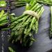  asparagus Hokkaido . good . production raw . meal ... green with translation 1kg free shipping 