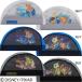 ( кошка pohs возможно ) Arena (ARENA) Disney (fa Indy ng*nimo) сетка купальная шапочка (.. принт ) DIS-4010