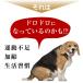 �� �y�b�g �T�v�� �h�N�^�[�}�}�� �h���h���Ƃ�ł����` �k�q�� �~�~�Y�H�i �V�� �V�L 20������ �֘A�摜3