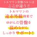 �g���}���� ���Ճx���g ���Ջ��� ���� �Y�� �ۂ����� ���ԊO������ �C�ɂȂ邨�� ���f�B�[�X  �v���[���g ���p�I �֘A�摜3