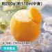  orange ( раунд ) шербет примерно 200g( примерно 110ml содержание ) 13048 десерт конфеты закуска лёд 