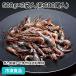  frozen food business use river shrimp M(4-6cm) 500g×2 sack 23751 food ingredients river shrimp sea .