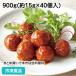  мясо ...( томатный соус )900g(40 штук ) 25814 рефрижератор Kei es мясо данго party закуска 