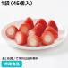 �Ⓚ�H�i �Ɩ��p  ���ɂイ���肢���� �Ɩ��p 1�܁i45���j 28151