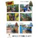 �J���t���[�W���l�b�g ���ʃl�b�g �T���V�F�[�h �U���� ���ʖ� �M���[�l�b�g ���悯�l�b�g �T�o�Q�[ �ډB�� �쒹�B�e ���ʂ� ���� 3�~4m �֘A�摜3