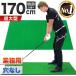  Golf коврик большой Golf тренировка коврик Driver элемент .. swing короткая клюшка тренировочный инструмент салон наружный искусственный газон SBR 100×170cm для бизнеса дыра нет одиночный товар 