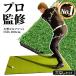  Golf коврик большой 100×150cm PGA Pro .. модель Golf тренировка коврик элемент .. swing тренировка для наружный для искусственный газон PVC для бизнеса дыра нет одиночный товар 