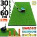 Golf коврик профессиональный 30×60cm Golf тренировка коврик элемент .. swing Driver железный салон наружный высокая плотность искусственный газон PVC Golf чай мяч для гольфа E комплект 