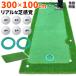  короткая клюшка коврик 3m Golf короткая клюшка Golf коврик pating короткая клюшка тренировка черновой большой толстый салон наружный approach искусственный газон SBR 300×100cm G серии SBRL30CS2 комплект 