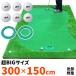  короткая клюшка коврик 3m Golf короткая клюшка Golf коврик pating короткая клюшка тренировка черновой большой толстый салон наружный approach искусственный газон SBR очень большой 300×150cm G серии CS2 комплект 