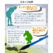 �A���C�����g�X�e�B�b�N 3�����^�C�v �S���t ���K �S���t���K�p�i �^�[�Q�b�g���C�� �A�h���X�|�W�V���� �Z�b�g�A�b�v ���C�p golf �P�[�X�t�� 2�{�Z�b�g �֘A�摜4