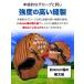 �O���[�u �싅 ���K �q�� ��l �_�炩�O���[�u  �L���b�`�{�[�� ���N�싅 �W���j�A�p �P�i �I�ׂ�4�T�C�Y 9.5�C���` 10.5�C���` 11.5�C���` 12.5�C���` �֘A�摜5