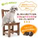 �h�b�O�X�e�b�v �� ���L 55cm 2�i �K�i �y�b�g ���p �X�e�b�v ������� PVC���U�[���n �y�b�g�X���[�v �d�߃^�C�v �y�y�b�g�ۈ牀���z�e���ďC�z �֘A�摜4