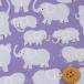 .. san много рисунок | лиловый & серый ( Broad ткань )