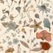 ( Sand u ограниченная продажа цвет ) Liberty * ткань старт na заем [Floral Eve цветочный *ivu] голубой зеленый (13-3633189/J20B)