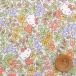 ( ограничение переиздание рисунок ) Liberty * ткань s× Hello Kitty tana заем [Strawberry Field клубника * поле ] зеленый & orange (DC27771/J27C)