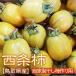  собственный производства высушенный хурма конструкция для Tottori префектура производство запад статья хурма . хурма 5kg бесплатная доставка обычная температура 