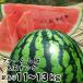  ферма гора бок большой шар арбуз 1 шар 11~13kg степень есть перевод Tottori префектура производство запад . обычная температура ... Tottori ...