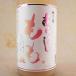  подарок подарок sake слива .. ах .... sake 1800ml ( Nara префектура / слива. . sake структура / ликер )