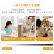 2026�V�o�� �V�[�����O�t�@�� �V�[�����O�t�@�����C�g �������F led �k�� �����R������ dc���[�^�[ ���^ ��C�z�� �y�� �a�� �d�C �Ɩ���� �ȃG�l �q������ �֘A�摜3