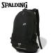  Spalding BASKETBALLja Ian часы ja- серебряный 41-010SV