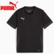  Puma teamGOAL игра рубашка Jr 706361-03 Junior 