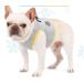  собака Harness прохладный охлаждающий охлаждающий шлейка собака сетка собака прохладный одежда большой собака летняя одежда охлаждающий прохладный .... контакт охлаждающий собака одежда кошка одежда подлинный лето день 