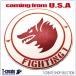  натуральная кожа patch милитари нашивка VF-1 Wolf упаковка America армия U.S.NAVY