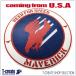  натуральная кожа patch милитари нашивка верх Gamma -velikTOPGUN MAVERICK FIREBIRDS America армия U.S.NAVY