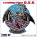  милитари нашивка F-14 Tomcat A+ bat wing милитари нашивка America армия patch U.S.NAVY