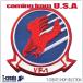  милитари нашивка VF-1 верх Gamma - Berik America армия patch U.S.NAVY