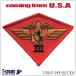  милитари нашивка авиация .. море ..THIRD MARINE AIR WING America армия patch USMC