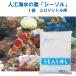 [981] человеческий труд морская вода. элемент Sea Salt. si-soru30 литров для 