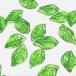 (10 шт. комплект ) leaf. акрил очарование зеленый прозрачный зеленый лист лист .. детали ручная работа 