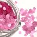  лепесток сакуры. тент грамм S розовый lilac примерно 1g половина прозрачный ногти resin . входить Cherry bro Sam Sakura весна узор цветок цветок . японский стиль мир узор детали 