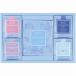  Wedgwood signi коричневый - чайный пакетик & карниз кофе 1061070WBD15 (-C6167-574-) | внутри праздник . подарок рождение внутри праздник . брак внутри праздник ... праздник . ответ .