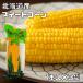  сладкий кукуруза 1 шт. входит ×3 пакет Hokkaido производство cradle ось есть вакуум упаковка кукуруза .. вода . лето овощи удобный . рейс овощи retort для бизнеса 