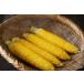 �R�[���~�[�� 1kg�~3�� �����\�����G�̒�� �R�[���O���b�c �C�G���[�R�[�� �Ƃ����낱���� �Ɩ��p ���p���ޗ� ���ٍޗ� �֘A�摜5