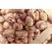 �����瓤 250g ���� �k�C���\���Y �k�C���Y �A�T�q�H�i�H�� ������ ���Y �����Y ���p ������ �藿�� ���� �ϓ��p �֘A�摜1