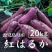  sweet potato . is ..20kg ( earth attaching * large small size ..) 2023 year production long time period .. Kagoshima prefecture production . - ..