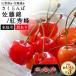  есть перевод вишня Sato .or. превосходящий . примерно 150g×3 упаковка ввод Hokkaido Yamagata префектура производство местного производства бренд sa Clan bo фрукты фрукты крупный outlet . для бытового использования рефрижератор рассылка 