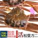  местного производства сырой сосна лист gani..1 кубок (700g~800g) Hyogo префектура производство бренд с биркой первоклассный сырой ... сосна лист . краб-стригун Япония море бренд . прямая поставка от производителя рефрижератор прохладный рейс рассылка 