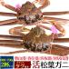 2 кубок комплект местного производства сырой сосна лист gani..(600g~700g×2 шт ) Hyogo префектура производство бренд с биркой первоклассный сырой ... сосна лист . краб-стригун Япония море бренд . прямая поставка от производителя рефрижератор прохладный рейс рассылка 