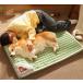 [ специальная цена ] собака спальное место домашнее животное bed нежный осень-зима для домашнее животное диван средний собака? большой собака собака спальное место s кошка спальное место коврик подушка ... предотвращение скольжения модный теплый 